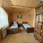 в карпатах Worochta