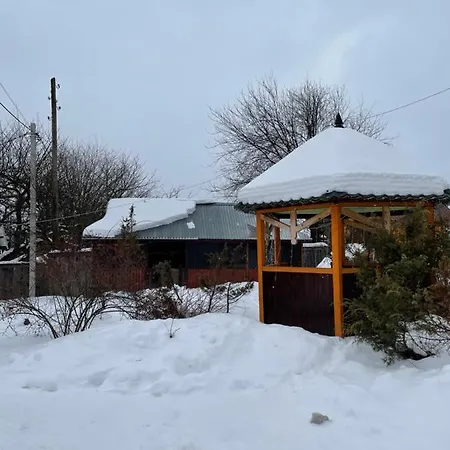 в карпатах ヴィラ ボロフタ