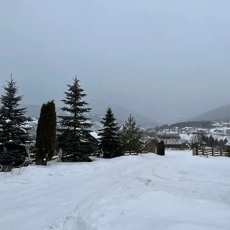 в карпатах *