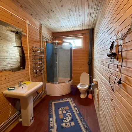 в карпатах Вилла