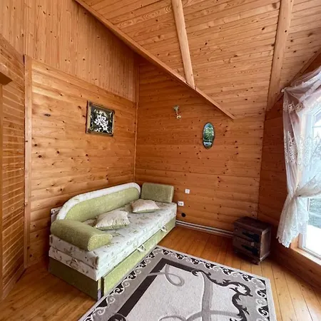 ヴィラ в карпатах ボロフタ