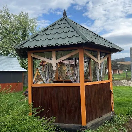 ヴィラ в карпатах *