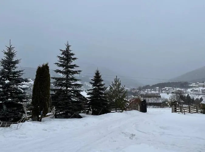 в карпатах *