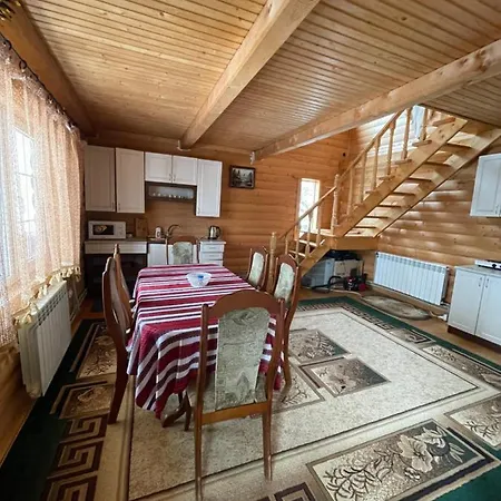 в карпатах ボロフタ
