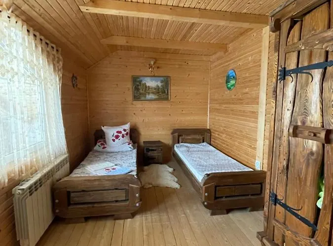 в карпатах 보로크타